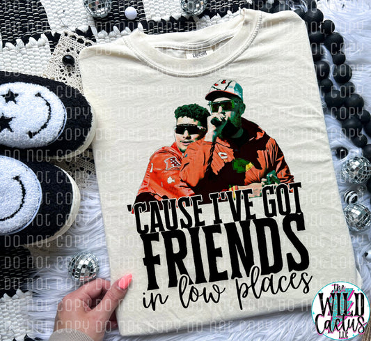 Friends in Low Places