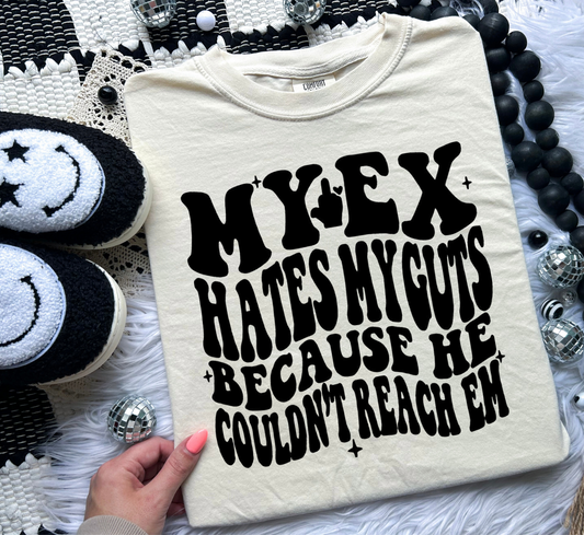 My Ex Hates My Guts
